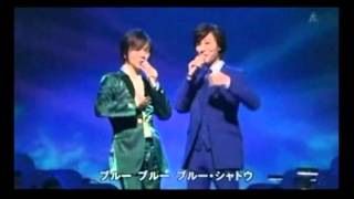 Video thumbnail of "ブルー・シャトウ----カラオケ伴唱演奏"