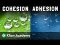 Cohesion and adhesion | Middle school chemistry | Khan Academy Mp3 Song