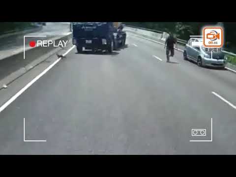 每日一片：司機拯救公路狂奔貓貓　網民：小心睇車