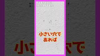 【1分でわかる賃貸】賃貸の壁にピンや画鋲でポスターを貼っても大丈夫？ #Shorts