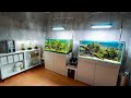 SMALL but AMAZING AQUASCAPING GALLERY TOUR!