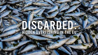Discarded: Hidden Overfishing in the EU