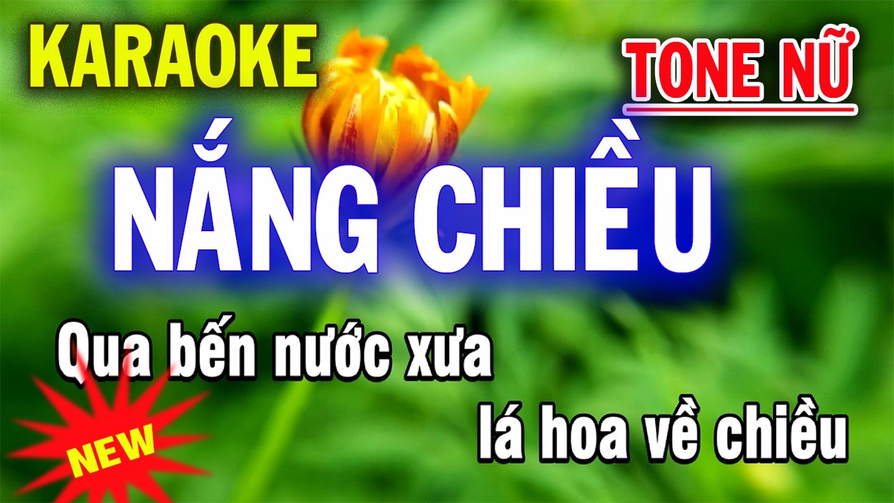 Karaoke Nắng Chiều - Tone Nữ - Beat Mới
