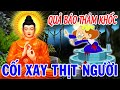 Chuyn nhn qu bo ng gh rn ci xay tht ngi  st sinh v hu qu ng s  truyn m khuya