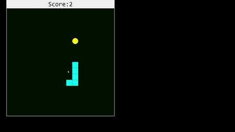 Snake Game Final Project
