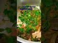 lauki channa dal tarka recipe/healthy and easy racipe #lauki #channadal #viralsong #shorts #cooking