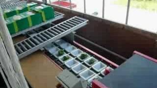 Paprika Sorteermachines, Aweta G 2 8