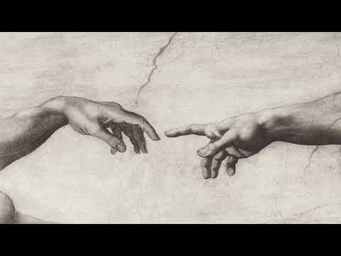 SoS Elo - \"კრიმინალისტის სინდისი\"