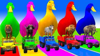 5 Giant Duck Cartoon,Cow,Elephant,Tiger,Lion,Dinosaur,Paint Wild Animals Crossing Fountain Animation screenshot 3