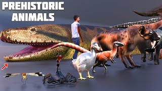 prehistoric animals size comparison  | cenozoic beasts size comparison