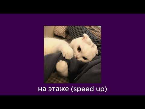 Dolinov, soska69 - на этаже (speed up)