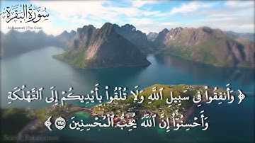 سورة( البقره )(يَسْأَلُونَكَ عَنِ الْأَهِلَّةِ.. | برواية الدوري عن الكسائي |  ربيع بن فتحي المصري