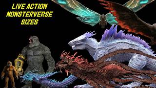 Download Lagu All Monsterverse Live Action Creatures \u0026 Titans Sizes (2014-2026) MP3