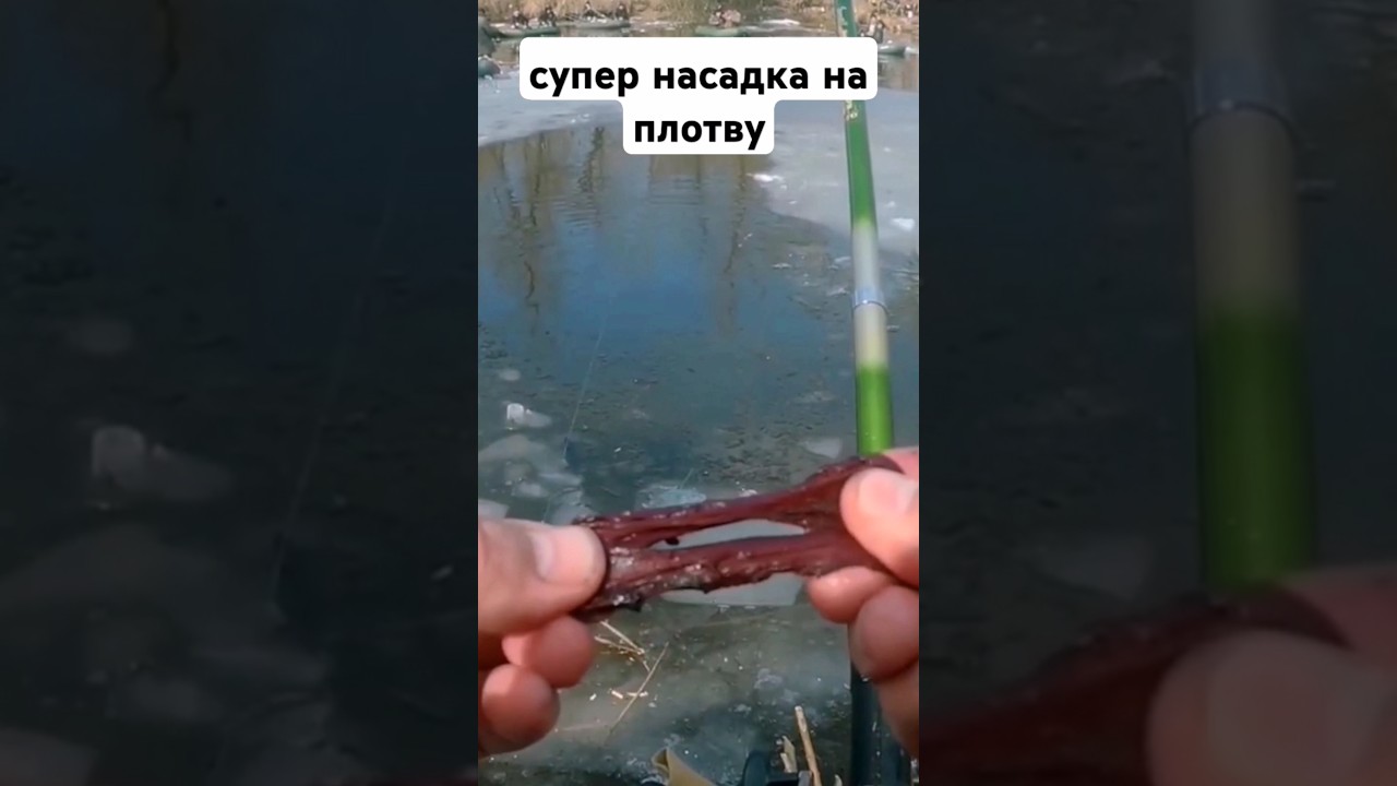 Супер насадка на плотву