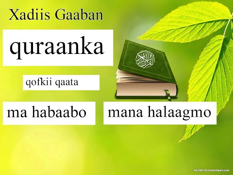 Xadiis Gaaban Quraanka Qofkii Qaata Ma Habaabo Mana Halaagmo