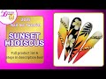 Sunset Hibiscus- Pigment &amp; Chrome Stilleto Nail Art Tutorial