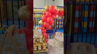 A Royal Party fit for a Queen at Big Top Playhouse