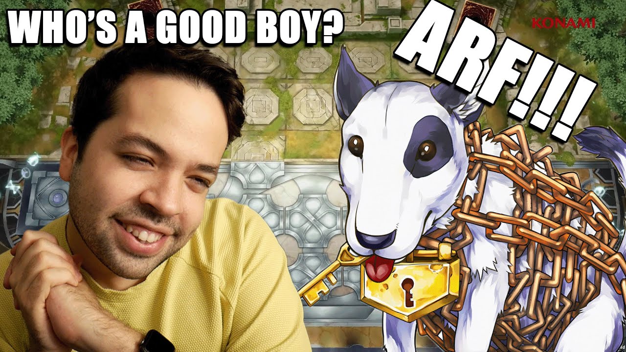 CURSE OF CHAIN DOG BREATH UPON YE!!! 🐕🐕🐶🐶🐩🐩 YouTube