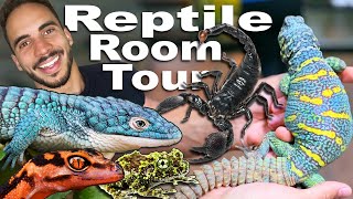 Exotic & Rare Reptile Room Tour! by TikisGeckos 29,568 views 6 months ago 15 minutes