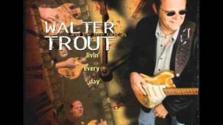 Video thumbnail of "Walter Trout - Fool For Love"