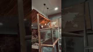 Raumteiler Aquarium Projekt Biotop Inka