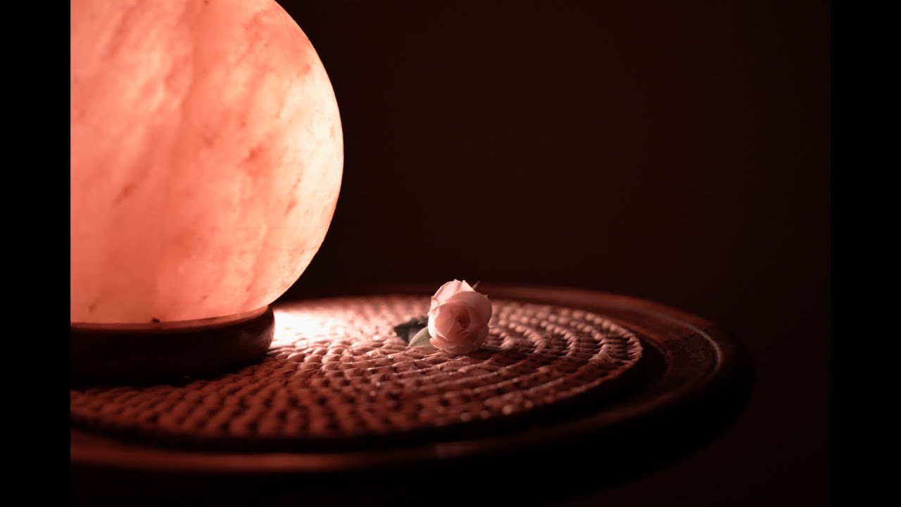 How do flowers keep appearing in Ingrid's room? - "flower" (horror short film, 2023) by lofi_film25