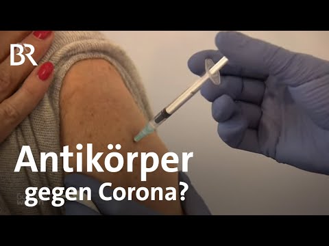 Video: Wie lange h alten Covid-Antikörper?