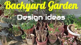 Backyard Garden design idea | How to decorate the backyard Garden #viral  #gardening