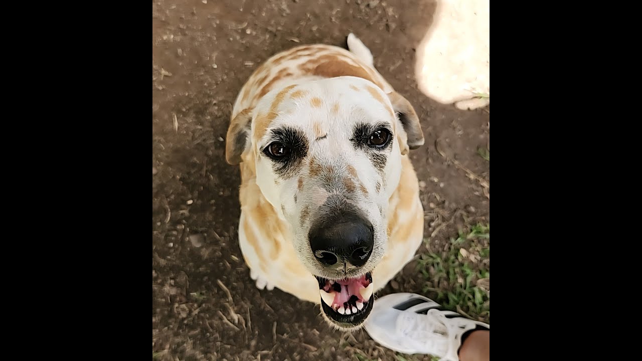 Sitio Barriles, Volcan, Panama