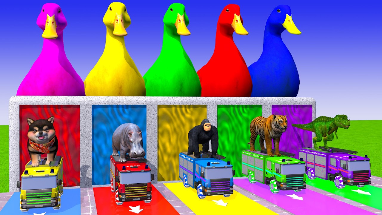 Long Slide Game With Cow Elephant Gorilla Hippopotamus Tiger - 3d Animal Game - Funny 3d Animals
