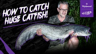 How to catch big Catfish in the UK / Albans Lakes / Agitator Catfish Rods / Well Catfish