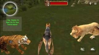 Flying Lion Wild Simulator iOS / Android Gameplay screenshot 3