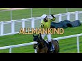 Allmankind: Can he be the Kingmaker?
