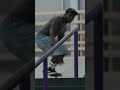 Demo Highlights From The Red Bull Drop In Japan Tour