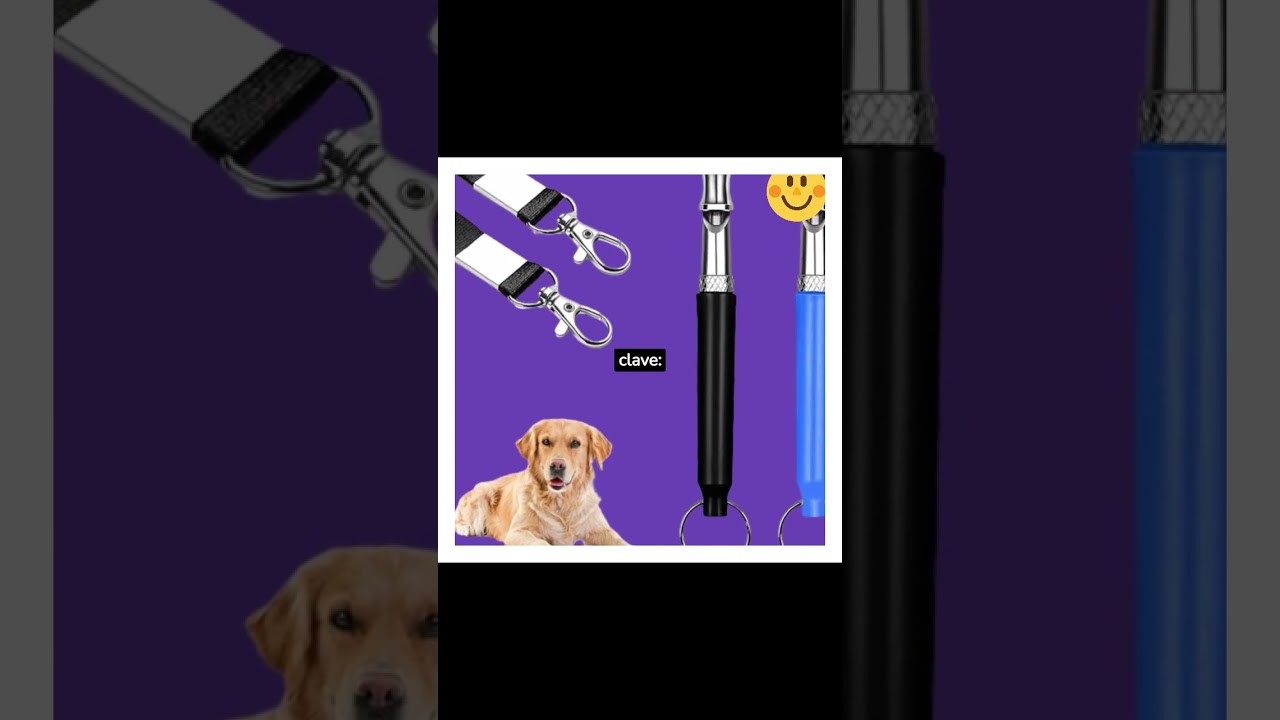 Silbato para Perros de Alto Rendimiento Kcomprar Amazon 