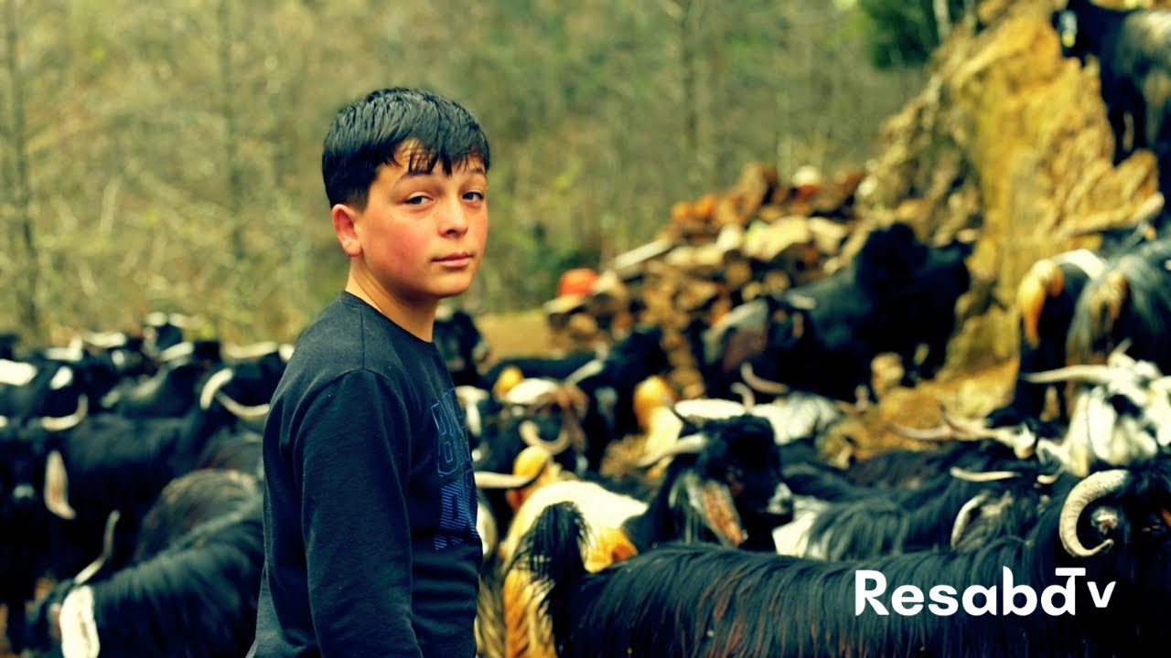 Kaderin Gayretle Şekillendiği Bir Yaşam Öyküsü | Belgesel