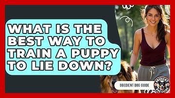 What Is The Best Way To Train A Puppy To Lie Down? - Obedient Dog Guide