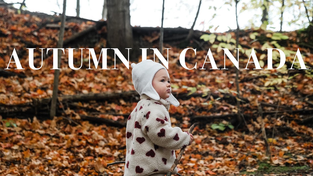 Autumn in Canada 🍁 | Cinematic Fall Short Film |  Fujifilm XT4