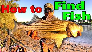 2026 Sacramento River Striper Fishing and Fishing Rig