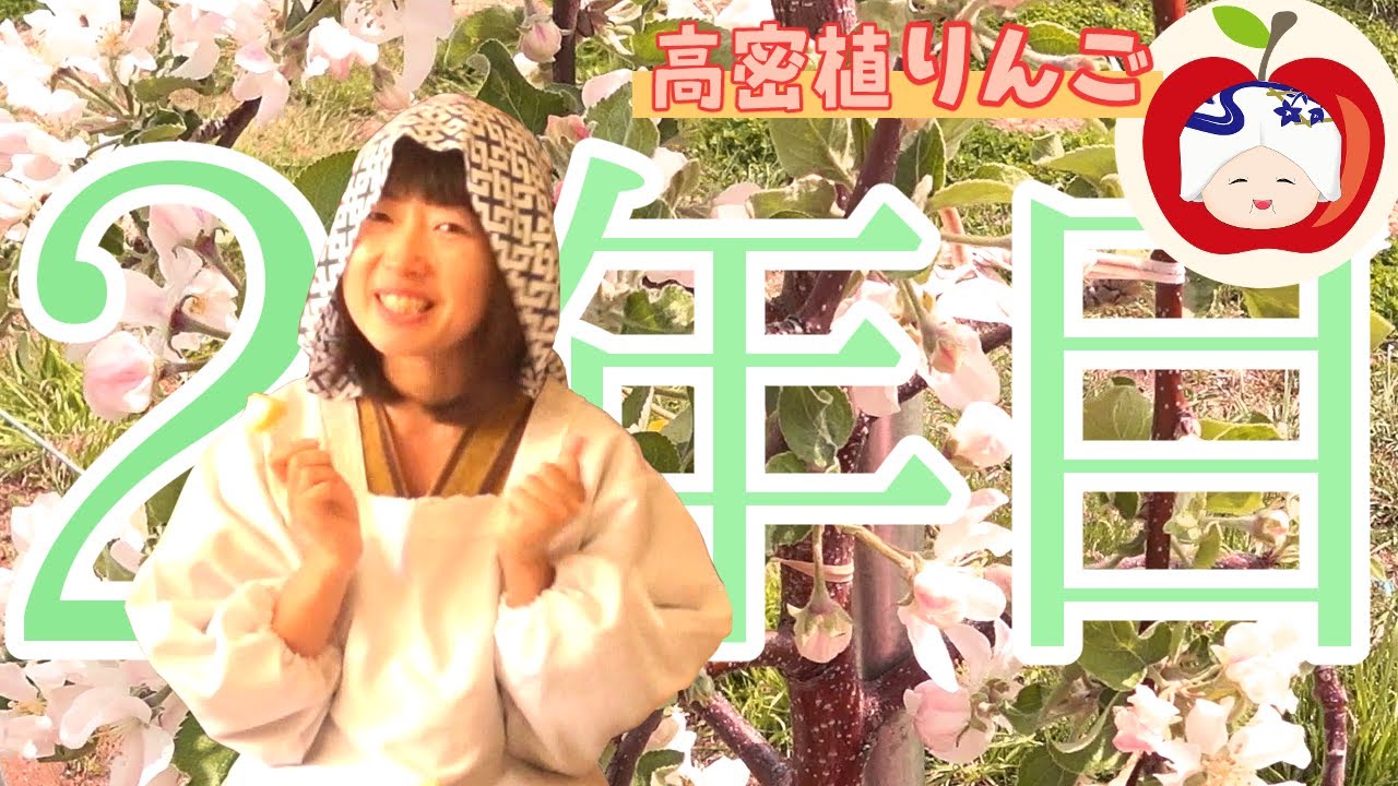 【第2回】りんごを苗から育ててみた【高密植栽培2020】