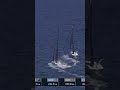 The pre-start choreographies of the fleet