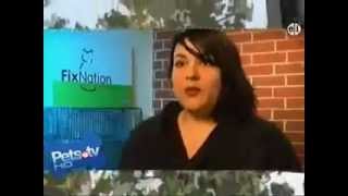 FixNation - Pets TV Segment 2