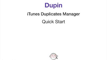 Dupin - Quick Start Demo