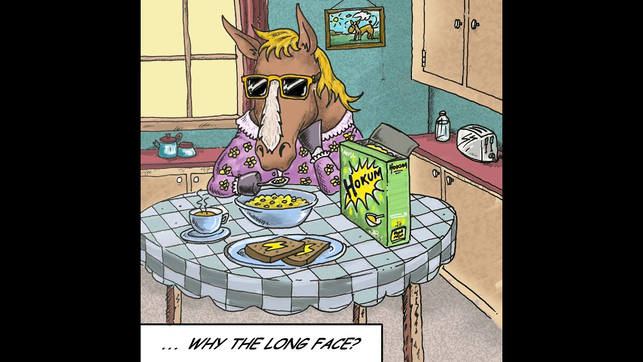Hokum - Why The Long Face?