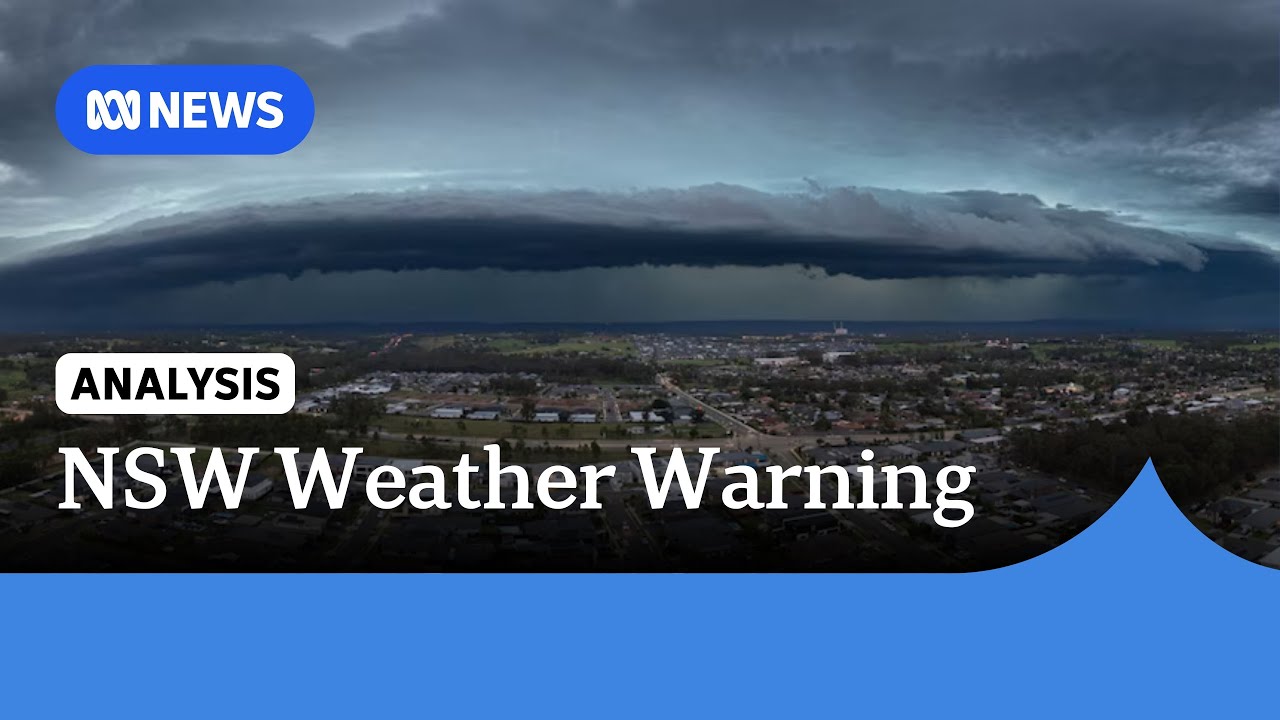Heavy rainfall and damaging winds forecast for much of eastern NSW ...