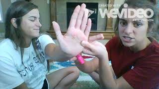 Lab 7 Activity 2  Kelsey Gorman Net Worth