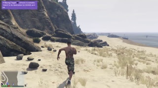 Stright making that money (GTAV)