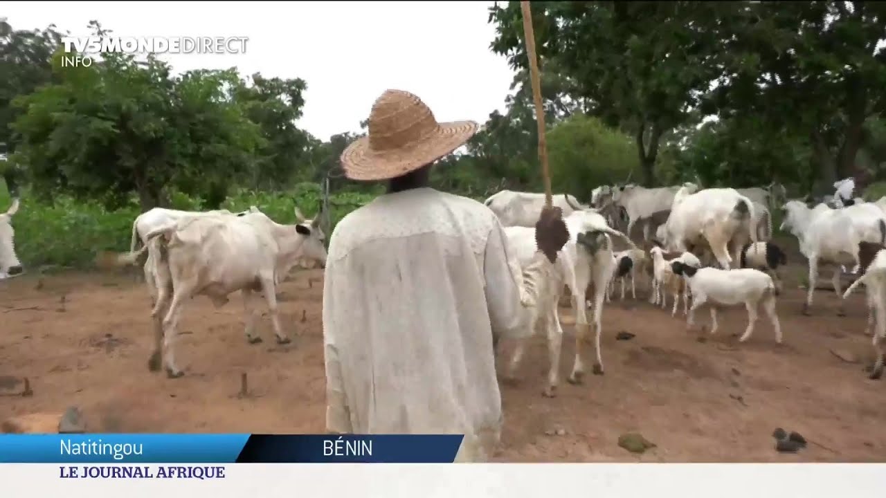 Bénin : la difficile scolarisation des enfants peuls