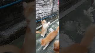 Sebuah Cerita Sore Hari Tadi