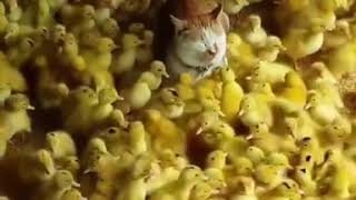 9GAG Cute - When you’re the only guy in the nurse